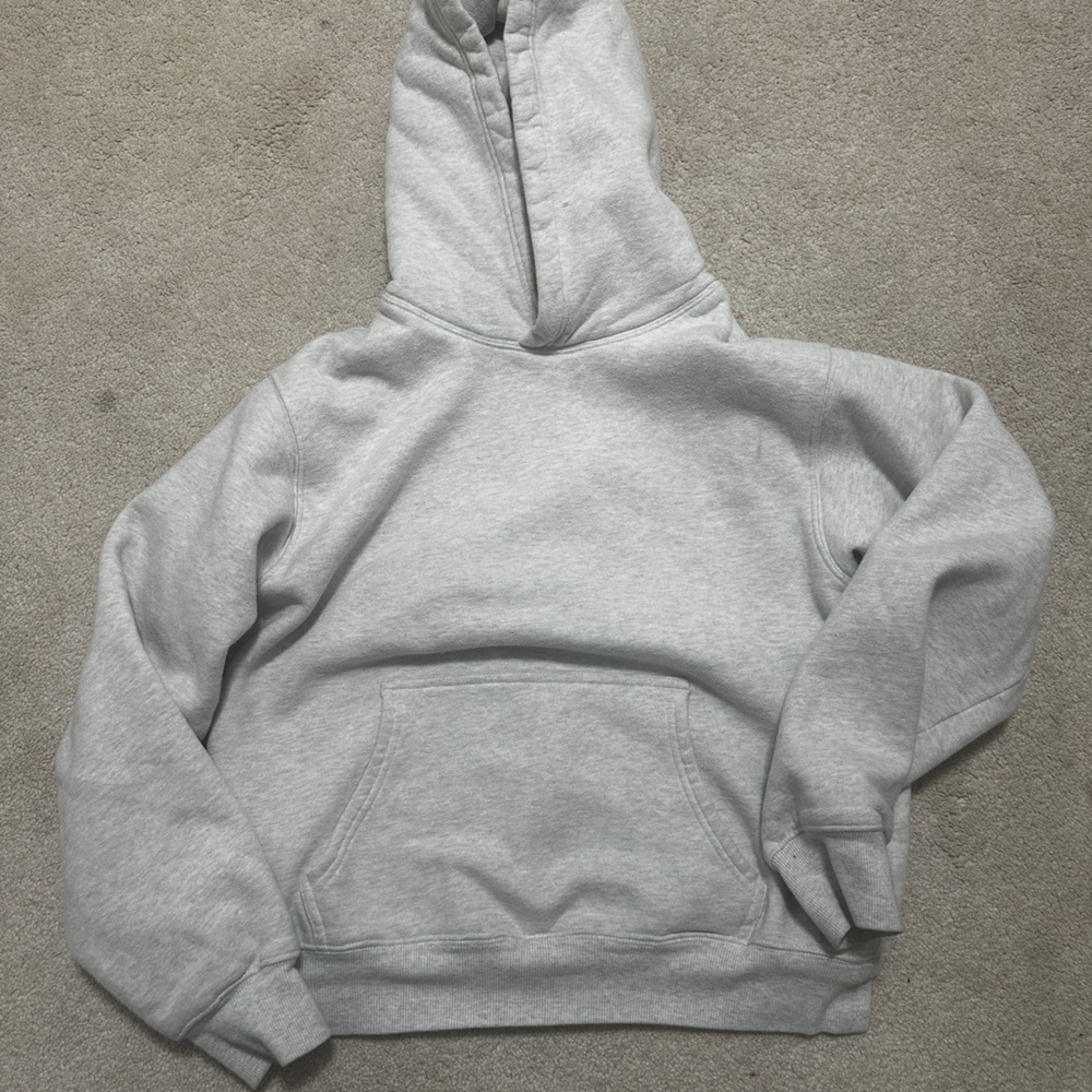 Light Grey Tna Aritzia Perfect Hoodie